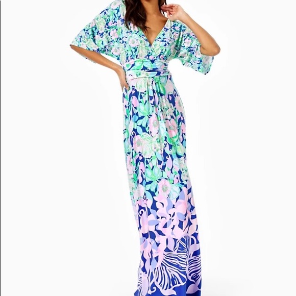 Lilly Pulitzer Dresses & Skirts - Lilly Pulitzer beak calm carry on parigi maxi dress